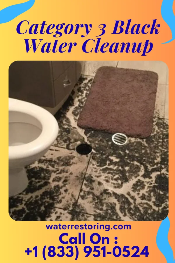 Category 3 Black Water Cleanup in Moro, OR