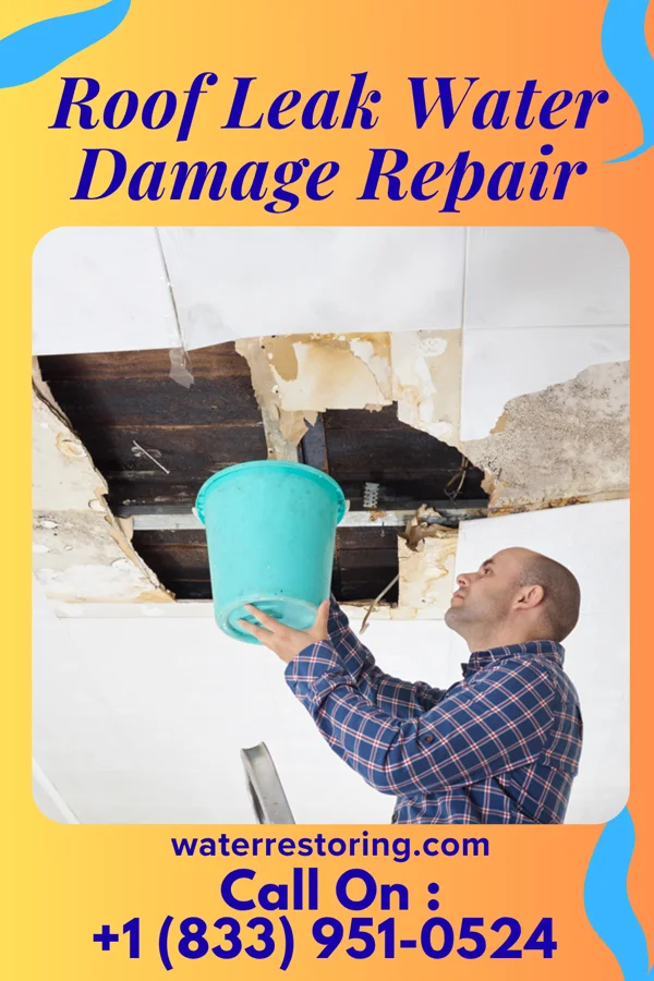 Roof Leak Water Damage Repair in Moro, OR